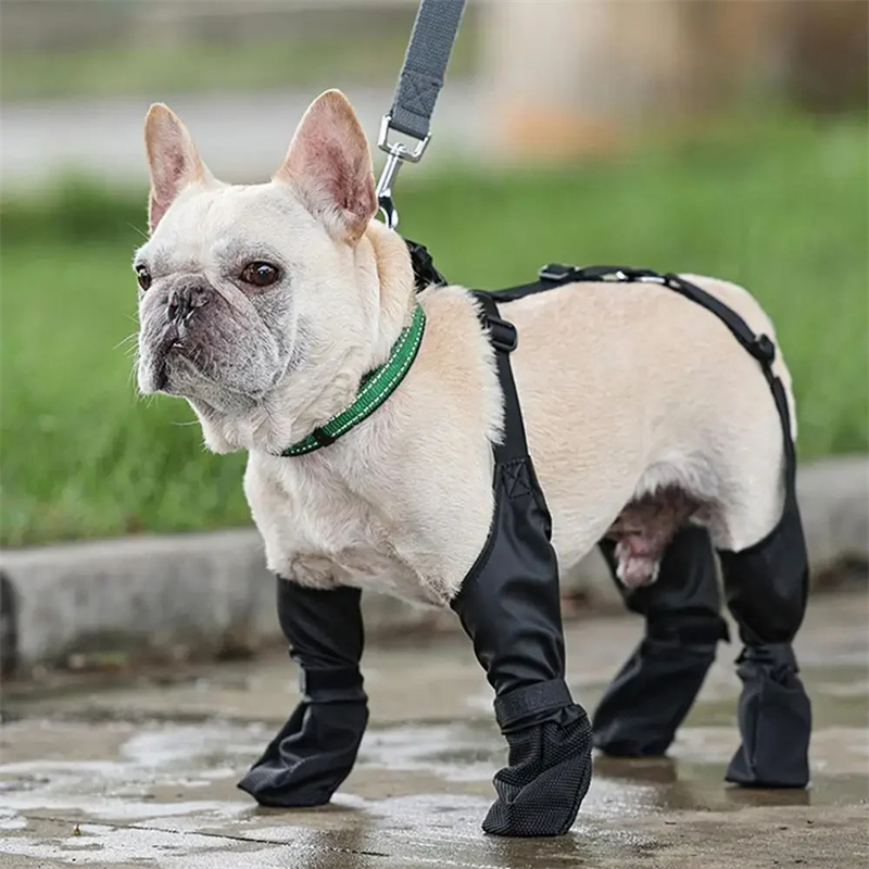 Waterproof Dog Shoes Adjustable Dog Boots Pet Breathbale Shoes For Outdoor Walking Soft French Dog Shoes Pets Paws Protector Pet Products - Image 2